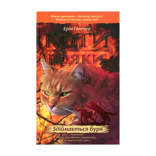 Зображення Коти-вояки. Пророцтва починаються. У 6 книгах. Книга 4. Здіймається буря