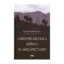 Зображення Американська війна в Афганістані