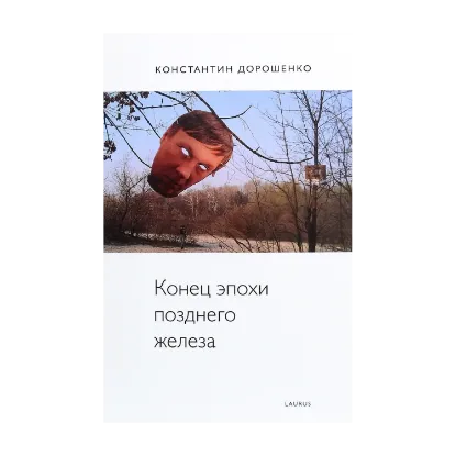 Зображення Конец эпохи позднего железа