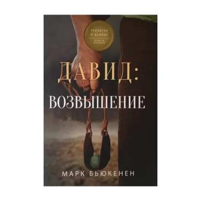 Зображення Давид. Возвышение
