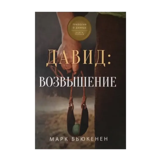 Зображення Давид. Возвышение