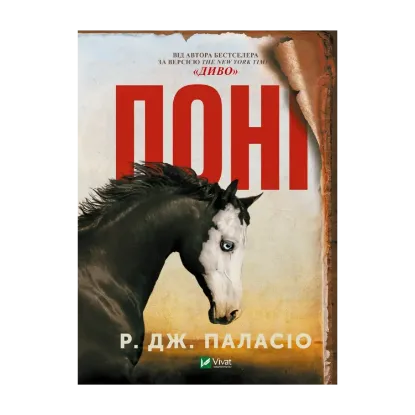 Зображення Поні