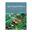 Зображення Флоуформи. Ритмічна сила води