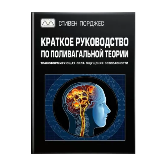 Зображення Краткое руководство по поливагальной теории
