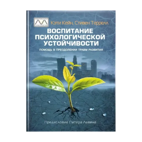 Зображення Воспитание психологической устойчивости. Помощь в преодолении травм развития