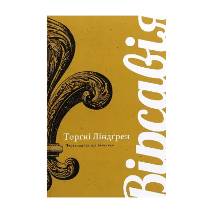 Зображення Вірсавія