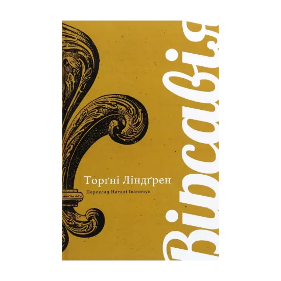 Зображення Вірсавія