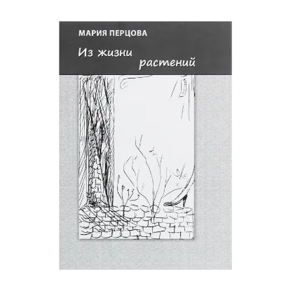 Зображення Из жизни растений