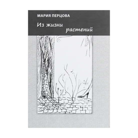 Зображення Из жизни растений
