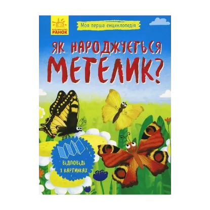 Зображення Як народжується метелик?