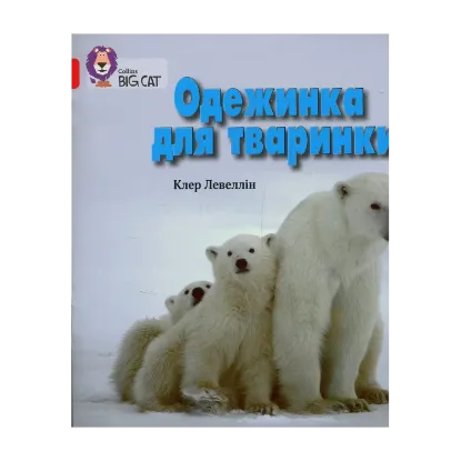 Зображення Одежинка для тваринки