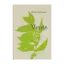 Зображення Verde. Збірка поезій