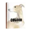 Зображення Собаки в мистецтві