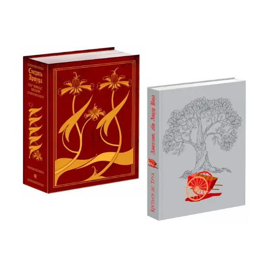 Зображення Лицарські романи (комплект із 2 книг)