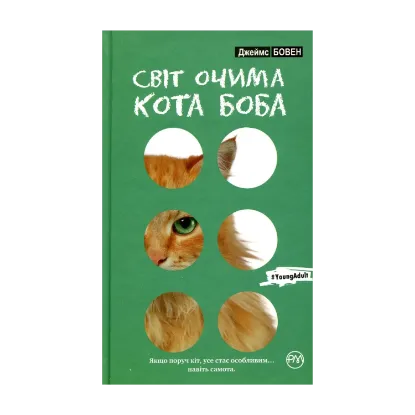 Зображення Світ очима кота Боба