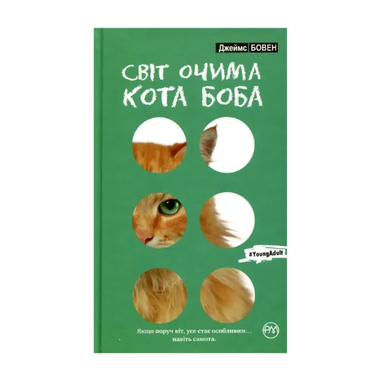 Зображення Світ очима кота Боба