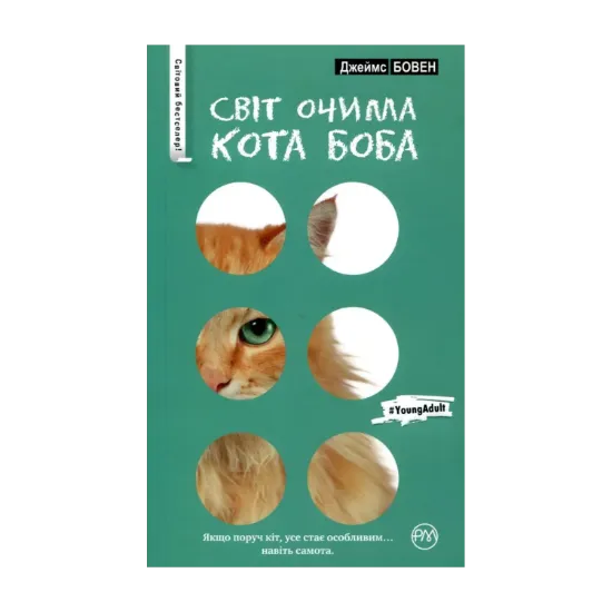 Зображення Світ очима кота Боба