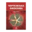 Зображення Чортківська офензива. Частина 1