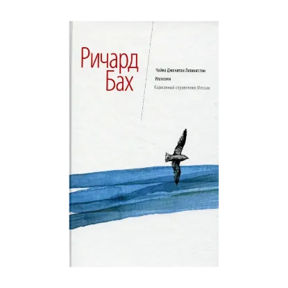Зображення Чайка Джонатан Ливингстон. Иллюзии. Карманный справочник мессии