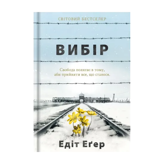 Зображення Вибір. Прийняти можливе