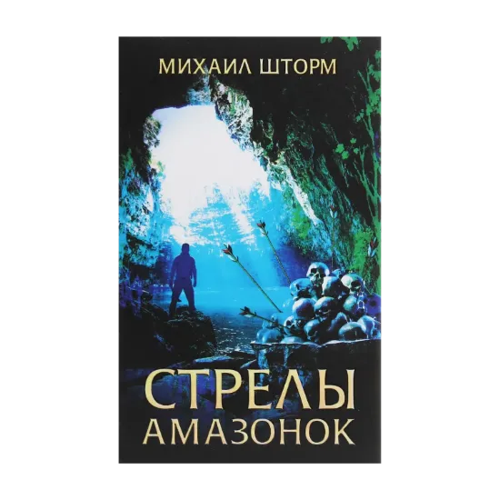 Зображення Стрелы амазонок