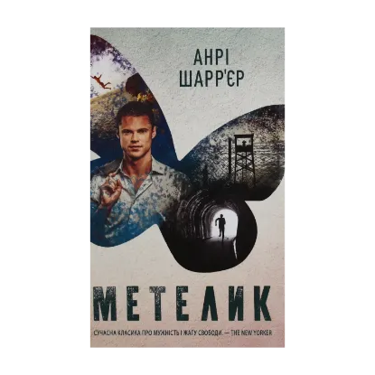 Зображення Метелик