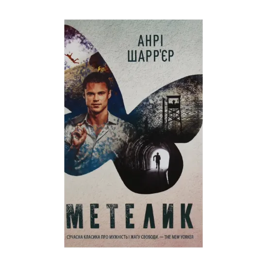 Зображення Метелик
