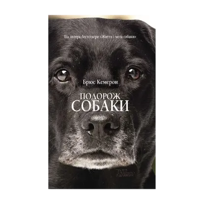 Зображення Подорож собаки