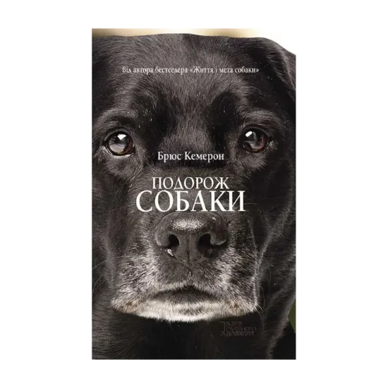 Зображення Подорож собаки