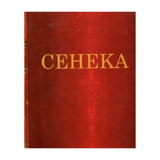 Зображення Сенека. Нравственные письма к Луцилию