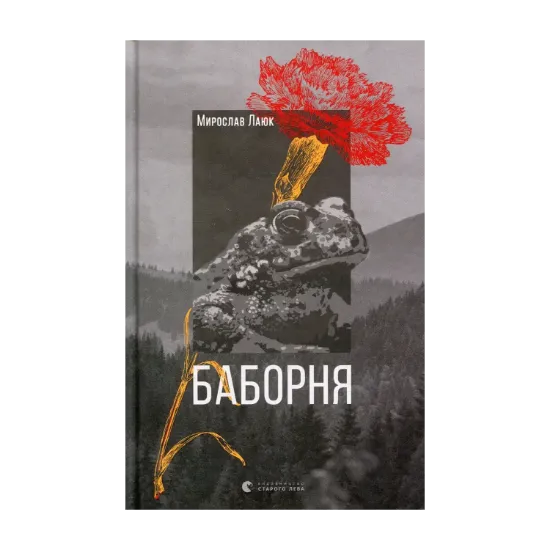 Зображення Баборня
