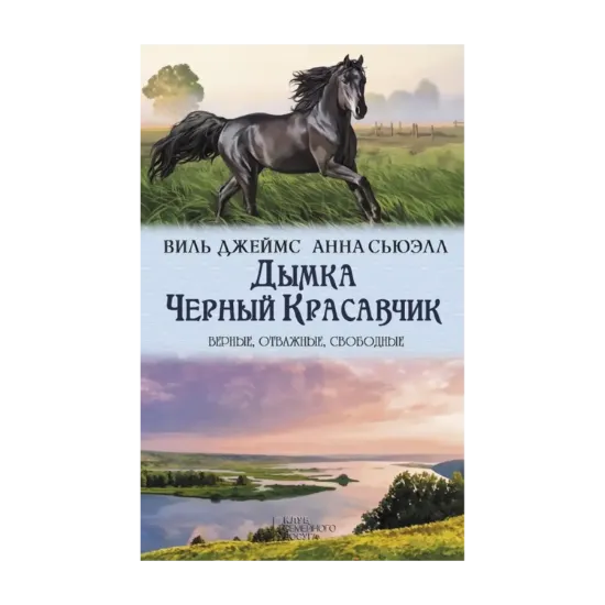 Зображення Дымка. Черный Красавчик