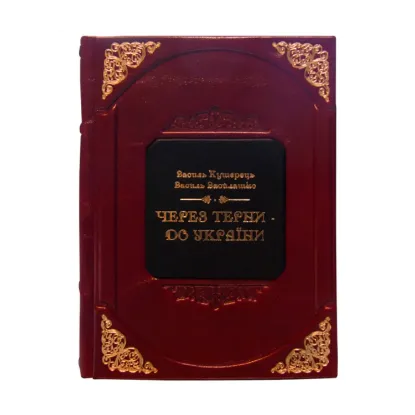 Зображення Через терни до України