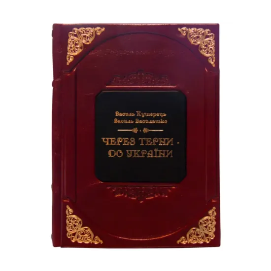 Зображення Через терни до України