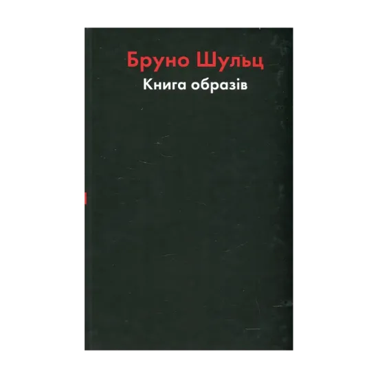 Зображення Бруно Шульц. Книга образів