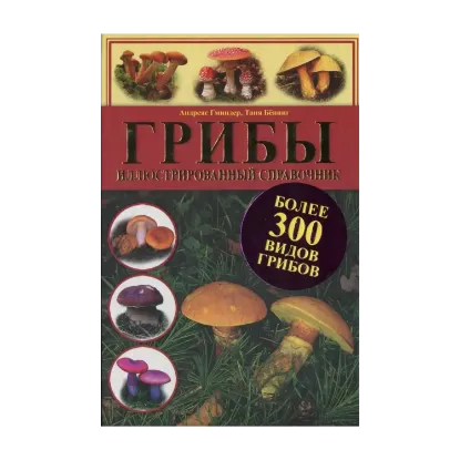 Зображення Грибы. Иллюстрированный справочник