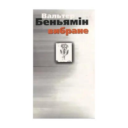 Зображення Вальтер Беньямін. Вибране