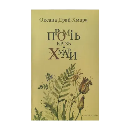 Зображення Промінь крізь хмари