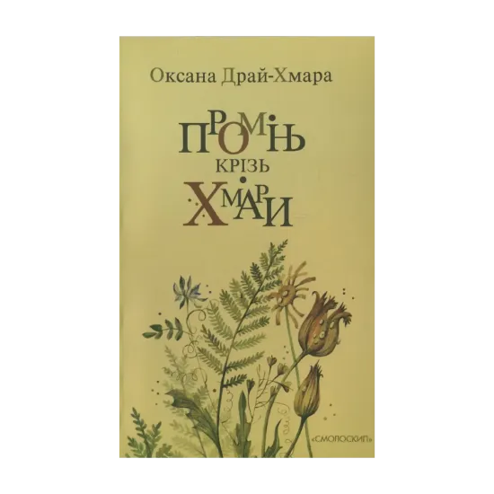 Зображення Промінь крізь хмари