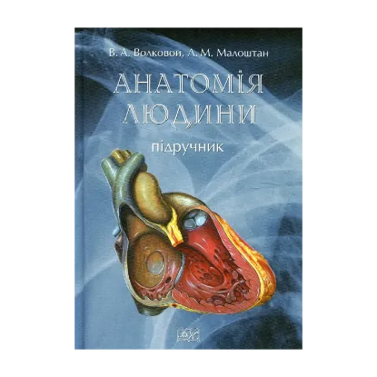 Зображення Анатомія людини. Підручник