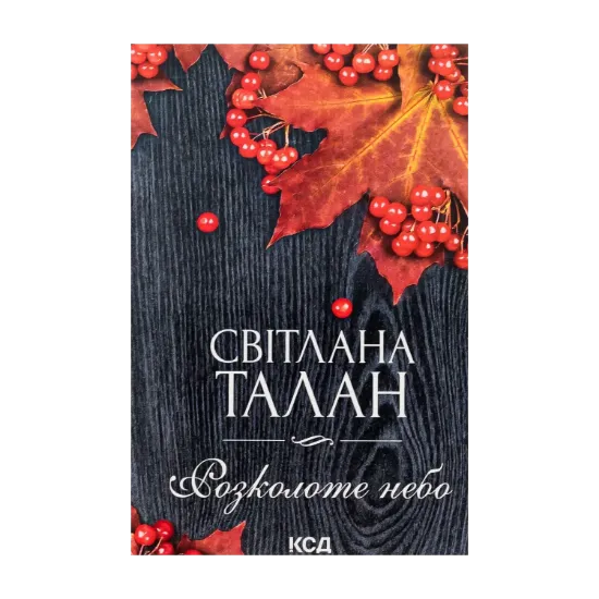 Зображення Розколоте небо