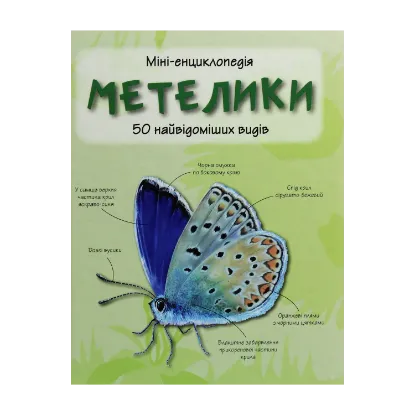 Зображення Метелики. 50 найвідоміших видів: Міні-енциклопедія