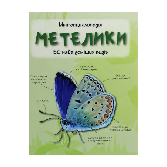 Зображення Метелики. 50 найвідоміших видів: Міні-енциклопедія